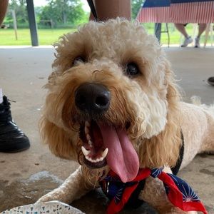 Meet your Posher, Doug